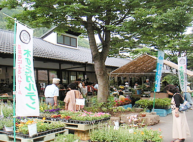 Agricultural Coop (Shop)